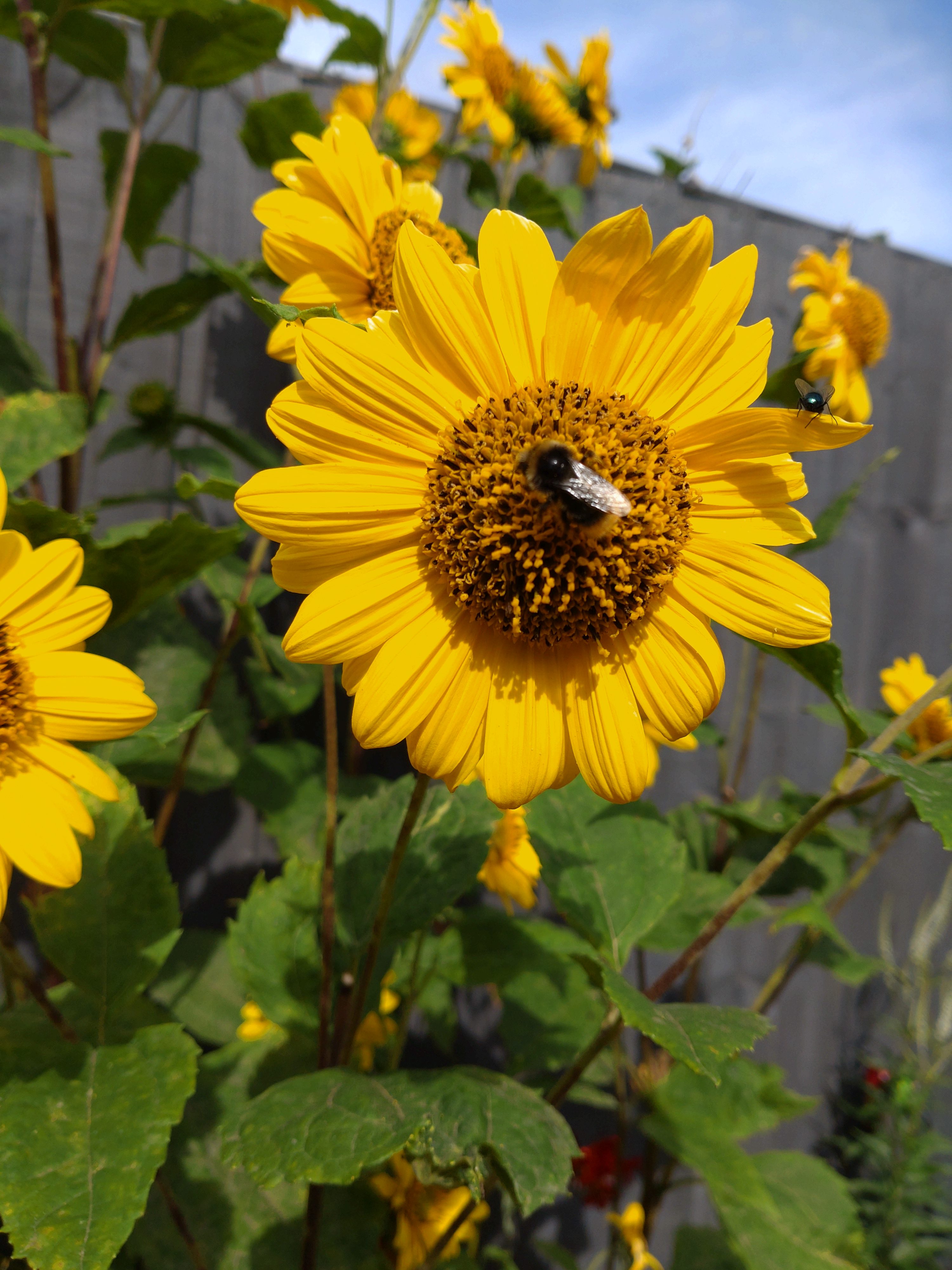 🌿 Our Connection to Nature: Why It Matters More Than Ever