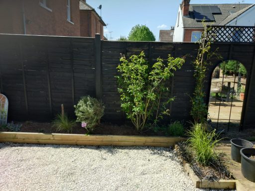 A sunny garden with plants and a gravel path, bordered by a wooden fence.