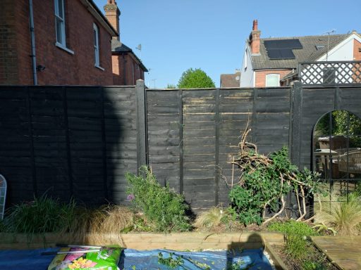 tired garden border awaiting replanting, overgrown shrubs in a sunny garden bed ready for renovation and new planting design